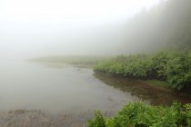 Azorai