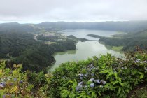 Azorai