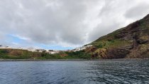 Azorai