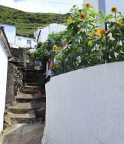 Azorai
