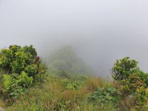 Azorai