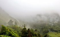 Azorai