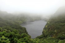 Azorai