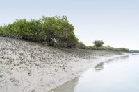 Birutės kelionė į Iraną