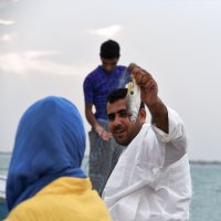 Birutės kelionė į Iraną