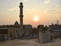 Birutės kelionė į Iraną