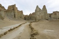 Birutės kelionė į Iraną