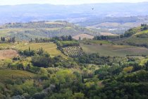 Alinos kelionė į Italiją