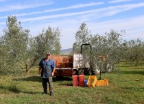 Alinos kelionė į Italiją