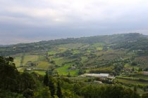 Alinos kelionė į Italiją