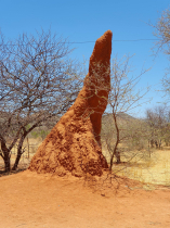 Namibija