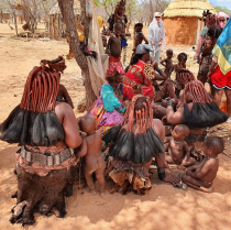 Himba gentis