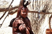 Himba gentis
