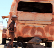 Himba gentis