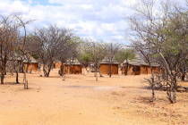 Himba gentis