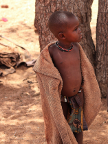 Himba gentis