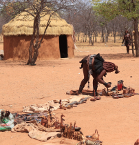 Himba gentis