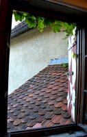 Ritos kelionė į Slovėniją ir Kroatiją