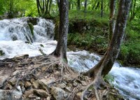 Ritos kelionė į Slovėniją ir Kroatiją