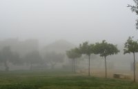 Saulės_kelionė į Portugaliją