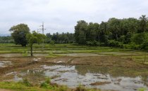 Šri Lanka