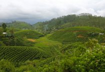 Šri Lanka