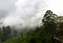 Šri Lanka