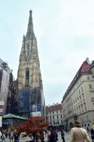Vidos kelionė į Vieną