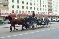 Vidos kelionė į Vieną