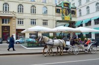 Vidos kelionė į Vieną