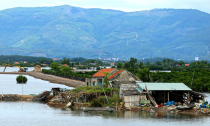 Vietnamas