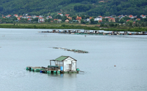 Vietnamas