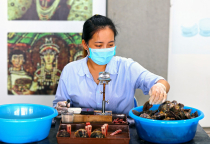 Vietnamas