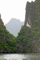 Vietnamas