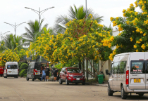 Vietnamas