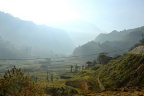 Vietnamas
