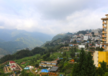 Vietnamas