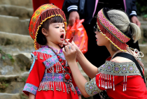 Vietnamas