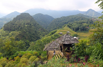 Vietnamas