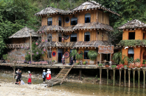 Vietnamas