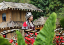 Vietnamas
