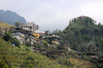 Vietnamas
