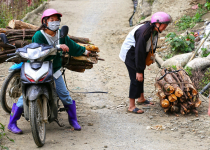 Vietnamas