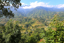 Vietnamas