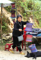 Vietnamas