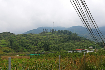 Vietnamas