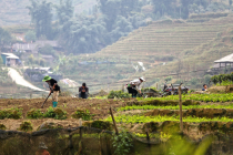 Vietnamas