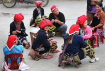 Vietnamas