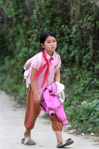 Vietnamas