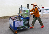 Vietnamas